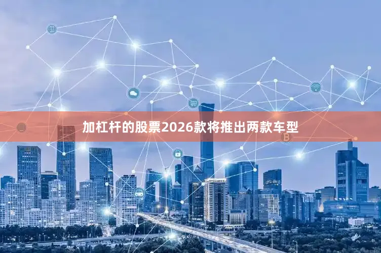 加杠杆的股票2026款将推出两款车型