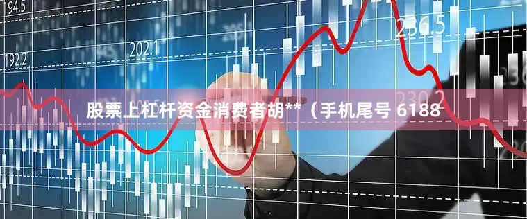 股票上杠杆资金消费者胡**（手机尾号 6188