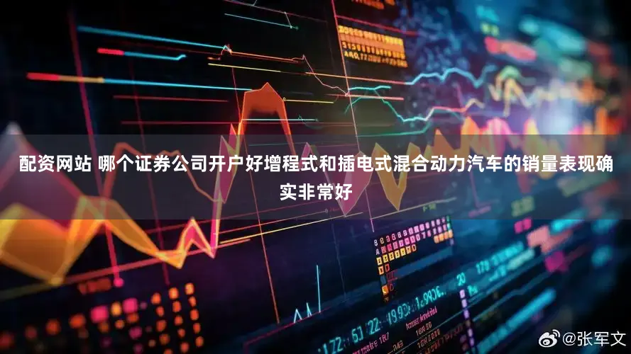 配资网站 哪个证券公司开户好增程式和插电式混合动力汽车的销量表现确实非常好