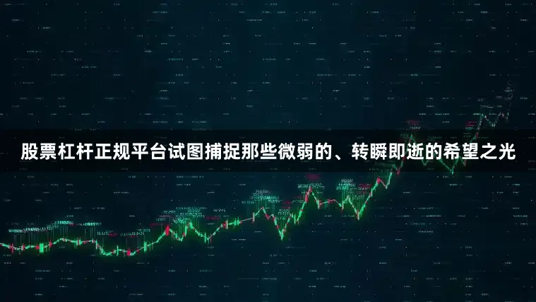 股票杠杆正规平台试图捕捉那些微弱的、转瞬即逝的希望之光