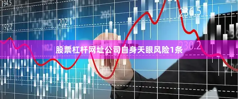 股票杠杆网址公司自身天眼风险1条