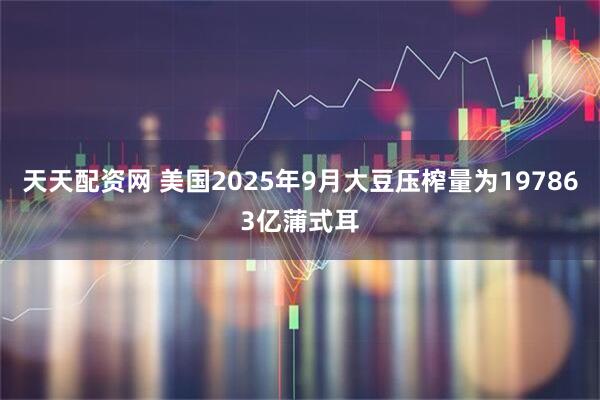 天天配资网 美国2025年9月大豆压榨量为197863亿蒲式耳