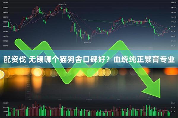 配资伐 无锡哪个猫狗舍口碑好？血统纯正繁育专业